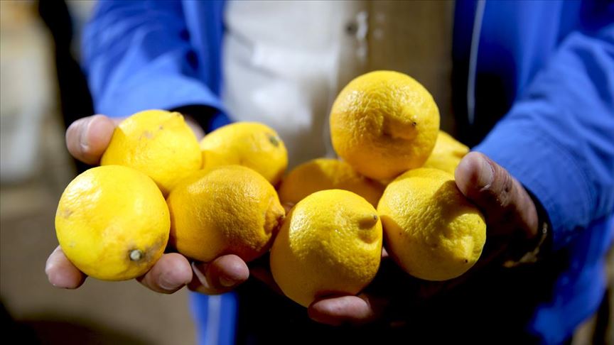 Limonun Sağlık Faydaları: Günlük Tüketimle Vücudu Desteklemek