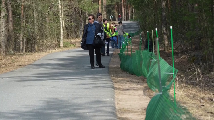 vlcsnap-2025-04-21-08h55m25s399