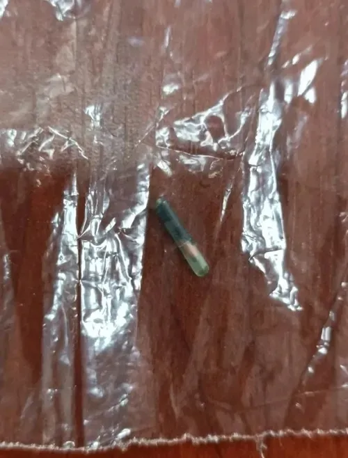 0x0-sampiyon-nasil-kavurma-oldu-sabah-at-eti-skandalinin-izini-surdu-1773546219914