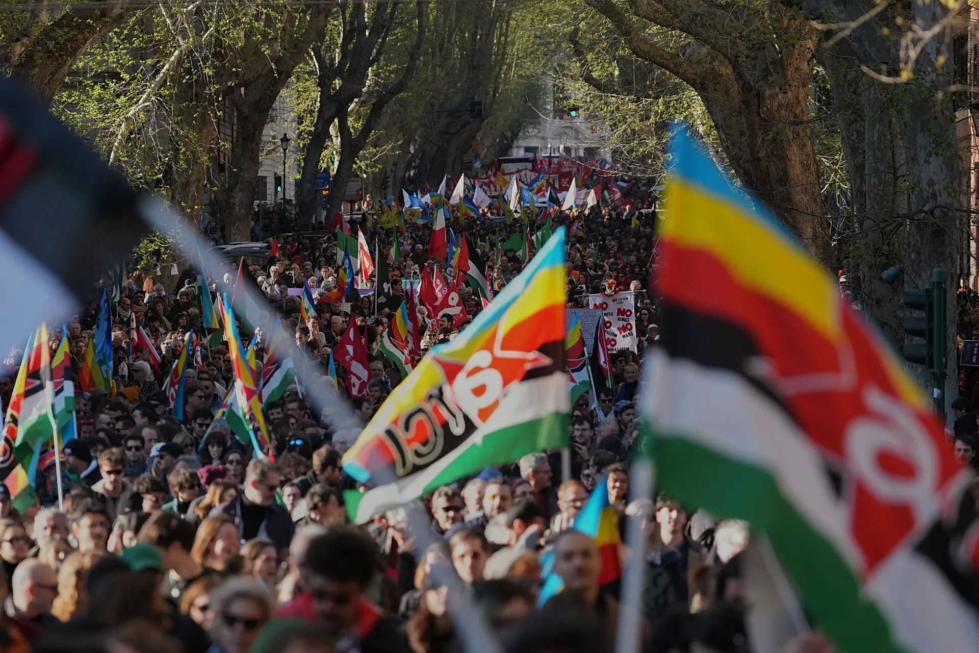 1920x1280_cmsv2_7c77b9b1-9d93-5e4b-bc90-f6a08ad472a4-9702552