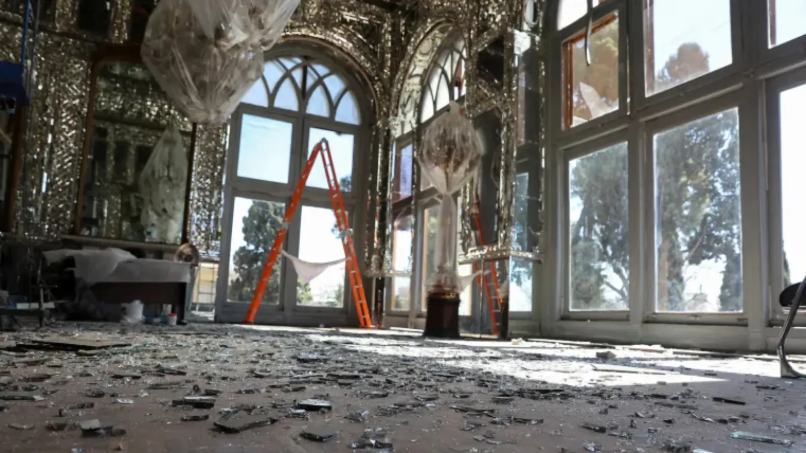 5b7f999a-668a-440e-9bdb-c0444e6b46a5