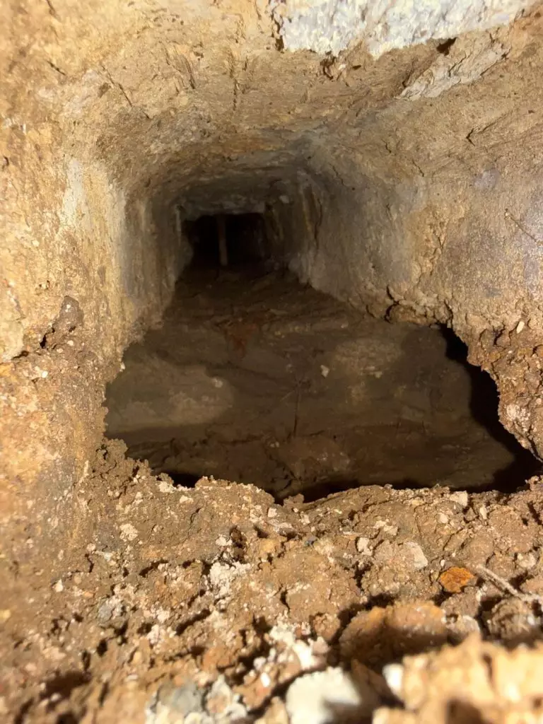 AW670228_09-768x1024