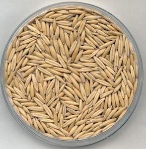 Kilo aldırmayan en sağlıklı besinler