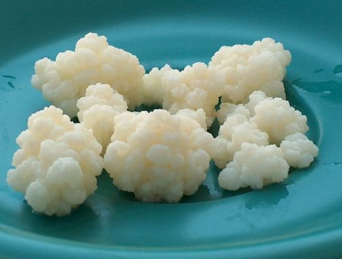 Kilo aldırmayan en sağlıklı besinler