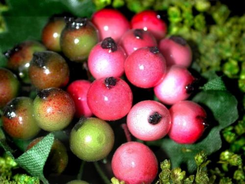 Kilo aldırmayan en sağlıklı besinler