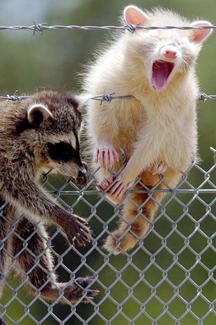 Onlar diğerlerinden farklı