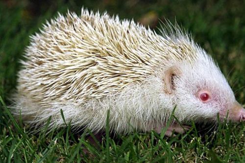 Onlar diğerlerinden farklı