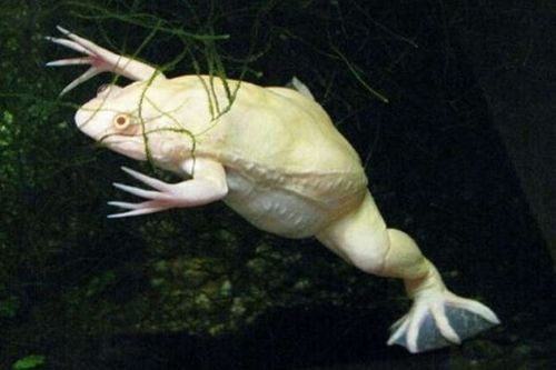 Onlar diğerlerinden farklı