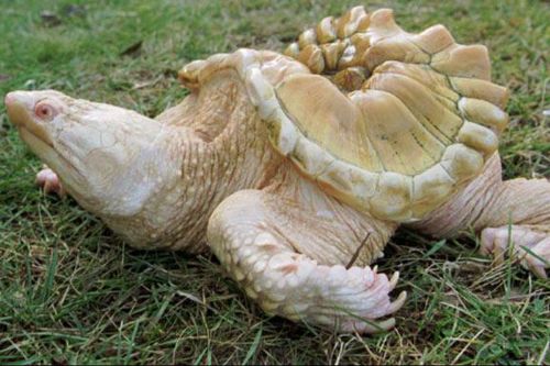 Onlar diğerlerinden farklı