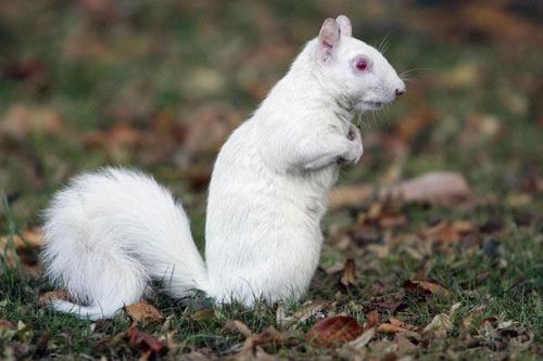 Onlar diğerlerinden farklı