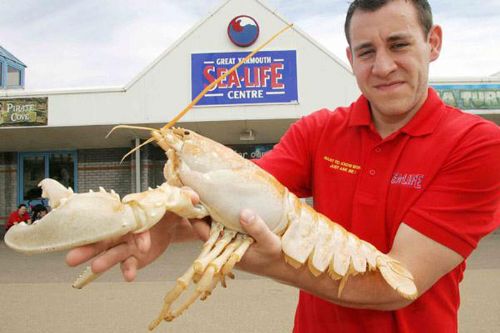 Onlar diğerlerinden farklı