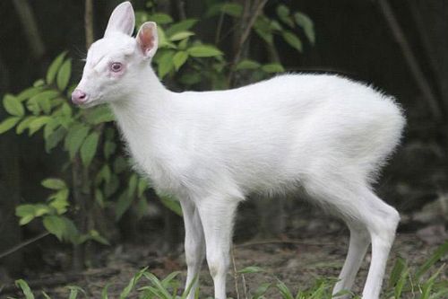 Onlar diğerlerinden farklı