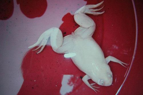 Onlar diğerlerinden farklı