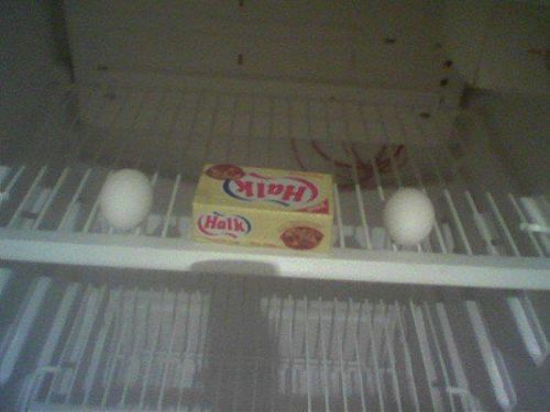 Klasik öğrenci evleri