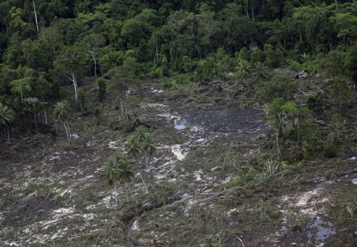Endonezya'da Felaket Üçgeni