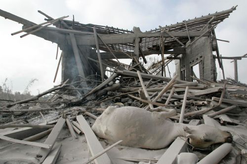 Endonezya'da Felaket Üçgeni