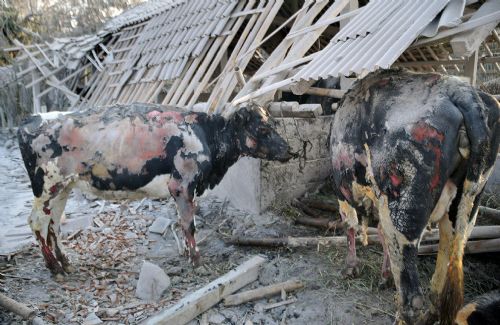 Endonezya'da Felaket Üçgeni