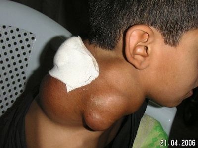 Felluce'yi hatırlıyor musunuz?