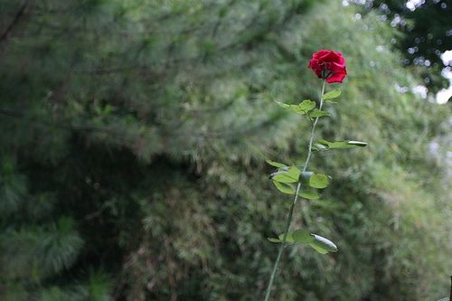 Tarihte iz bırakan sözler