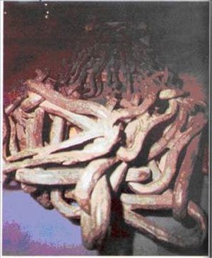 İstanbul'un Fethi resimleri