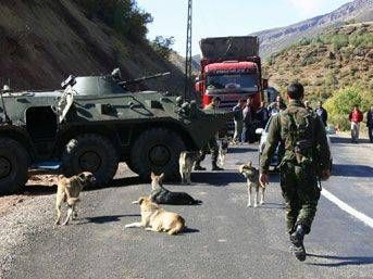 Kuruluşun'dan bugüne kadar PKK saldırıları