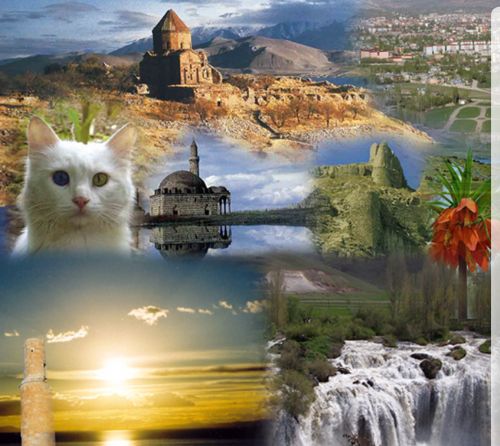 Çanakkale'de en fazla şehit veren ilimiz