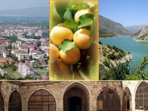 Çanakkale'de en fazla şehit veren ilimiz