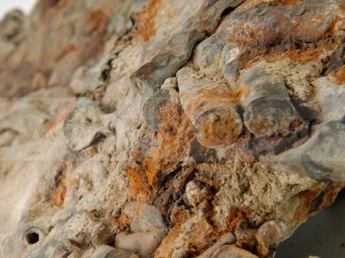 Çanakkale'de en fazla şehit veren ilimiz