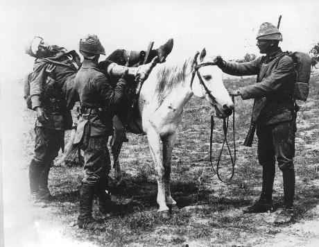 Çanakkale'de en fazla şehit veren ilimiz