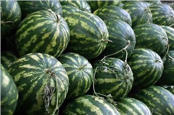 Karpuzun faydaları ve zararları