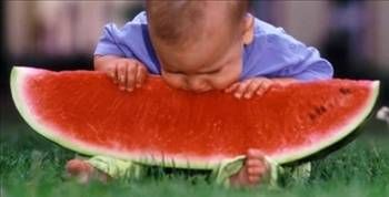 Karpuzun faydaları ve zararları