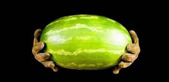 Karpuzun faydaları ve zararları