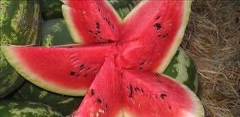 Karpuzun faydaları ve zararları