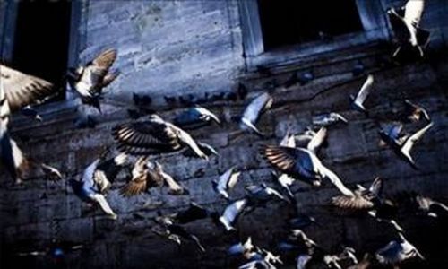 Mimar Sinan'ın akıl almaz sırları