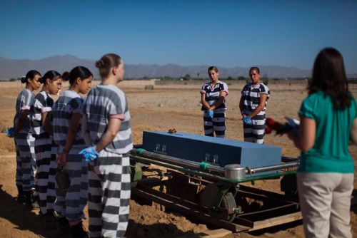 Mahkumlar ama mutlular