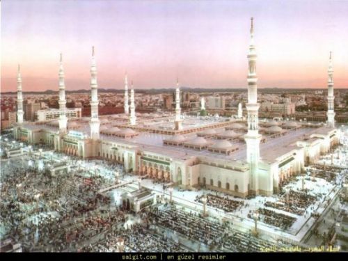 Medine Aslan'ı Fahrettin Paşa kim?