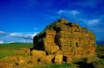 Şehir isimleri nereden geliyor?