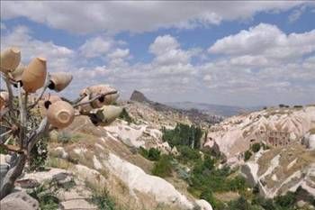 Şehir isimleri nereden geliyor?