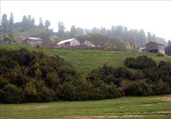 Şehir isimleri nereden geliyor?