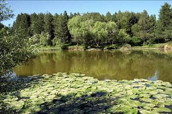 Şehir isimleri nereden geliyor?