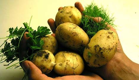 Hormonlu sebzeyi nasıl anlarsınız