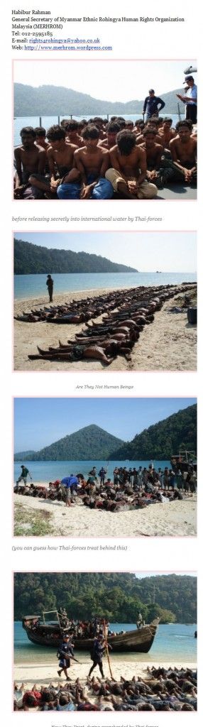 Müslümanlar kadlediliyor!