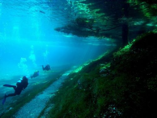 Avusturya'daki Yeşil Göl