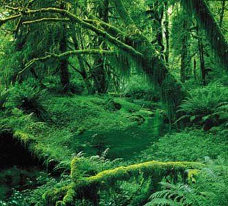 Kıyametin 10 büyük alameti