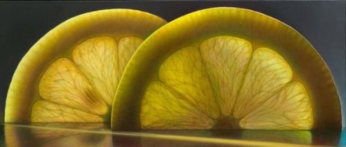 Bitkilerdeki muhteşem simetri