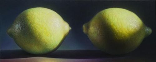 Bitkilerdeki muhteşem simetri