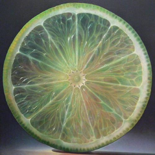 Bitkilerdeki muhteşem simetri