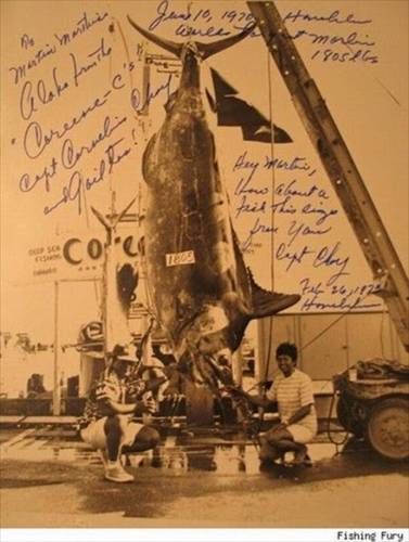 Denizden çıkan canavarlar