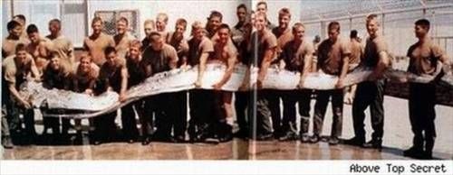 Denizden çıkan canavarlar