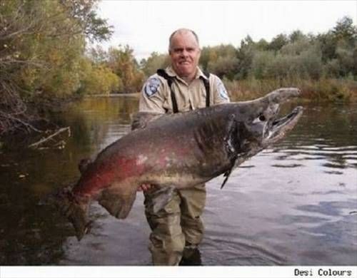 Denizden çıkan canavarlar